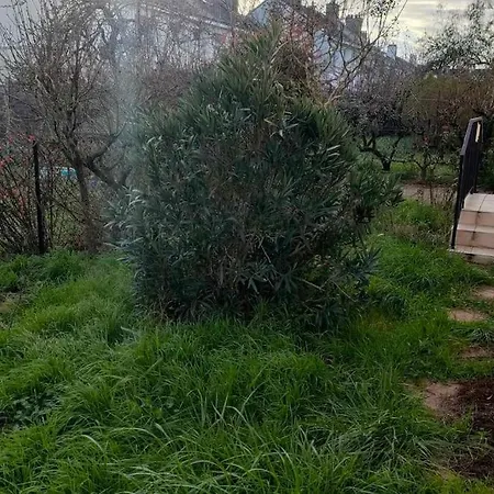 Appartement Cosy 2 Chambres Avec Jardin Les Ponts-de-Cé Exterior foto