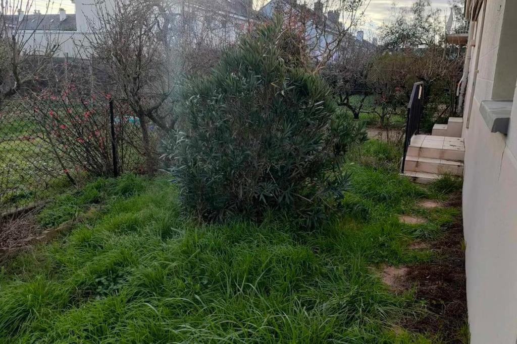 Cosy 2 Avec Jardin *